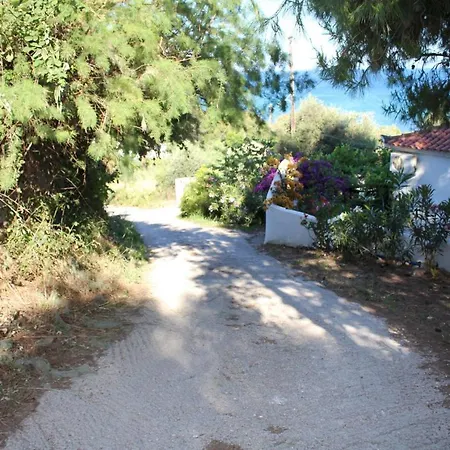Rigotis 2